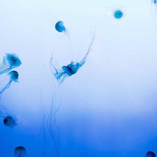 成人淫影w777.77永久免费观看海报